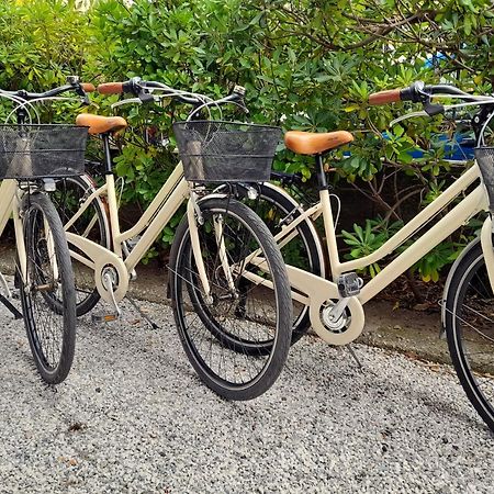 Ampio, Elegante Apt Con Aria Condizionata E Bici Gratis ヴィアレッジョ エクステリア 写真